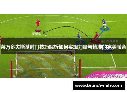 莱万多夫斯基射门技巧解析如何实现力量与精准的完美融合