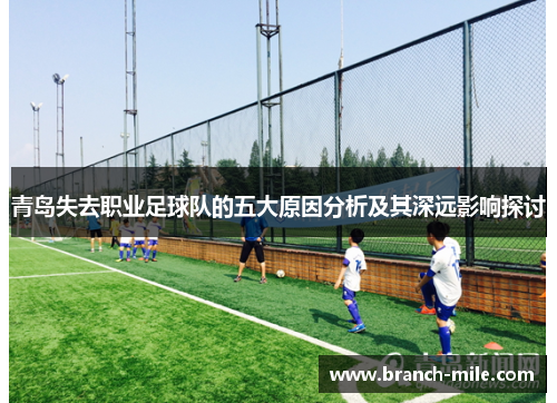 青岛失去职业足球队的五大原因分析及其深远影响探讨 青岛失去职业足球队的五大原因分析及其深远影响探讨