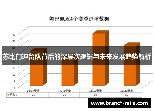 苏比门迪留队背后的深层次逻辑与未来发展趋势解析