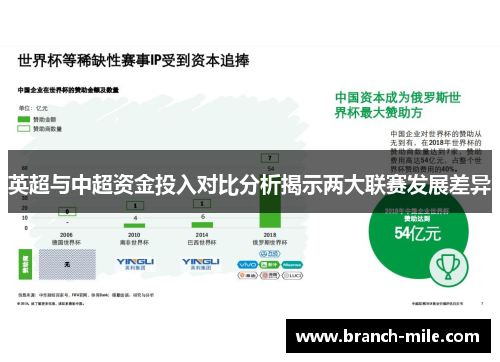 英超与中超资金投入对比分析揭示两大联赛发展差异 英超与中超资金投入对比分析揭示两大联赛发展差异