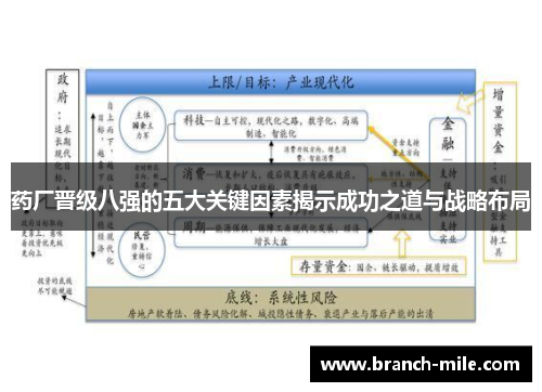药厂晋级八强的五大关键因素揭示成功之道与战略布局