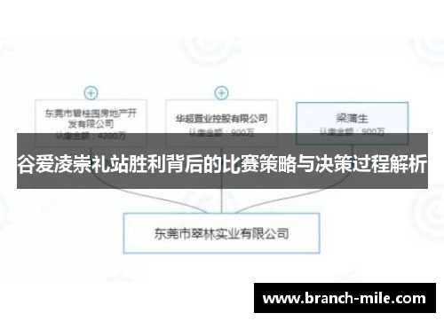 谷爱凌崇礼站胜利背后的比赛策略与决策过程解析