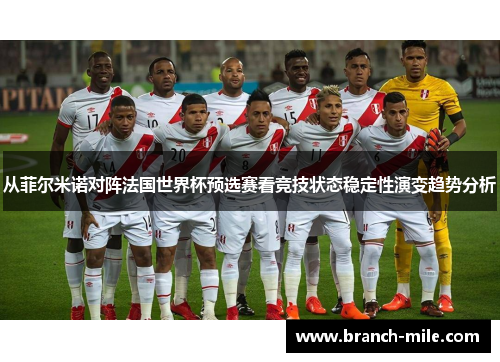 从菲尔米诺对阵法国世界杯预选赛看竞技状态稳定性演变趋势分析 从菲尔米诺对阵法国世界杯预选赛看竞技状态稳定性演变趋势分析