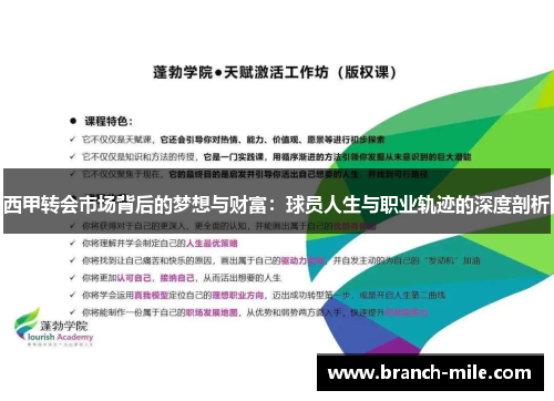 西甲转会市场背后的梦想与财富:球员人生与职业轨迹的深度剖析 西甲转会市场背后的梦想与财富:球员人生与职业轨迹的深度剖析