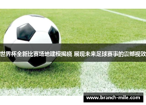 世界杯全新比赛场地建模揭晓 展现未来足球赛事的震撼视效 世界杯全新比赛场地建模揭晓 展现未来足球赛事的震撼视效