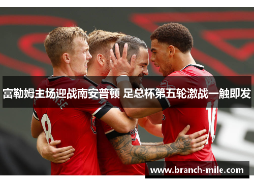 富勒姆主场迎战南安普顿 足总杯第五轮激战一触即发