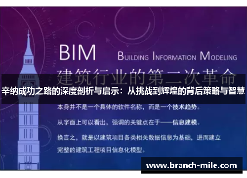 辛纳成功之路的深度剖析与启示：从挑战到辉煌的背后策略与智慧