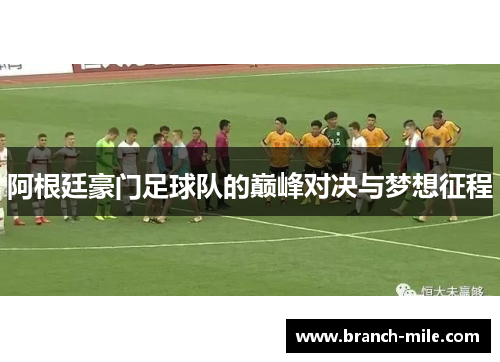 阿根廷豪门足球队的巅峰对决与梦想征程