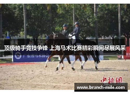 顶级骑手竞技争锋 上海马术比赛精彩瞬间尽展风采 顶级骑手竞技争锋 上海马术比赛精彩瞬间尽展风采