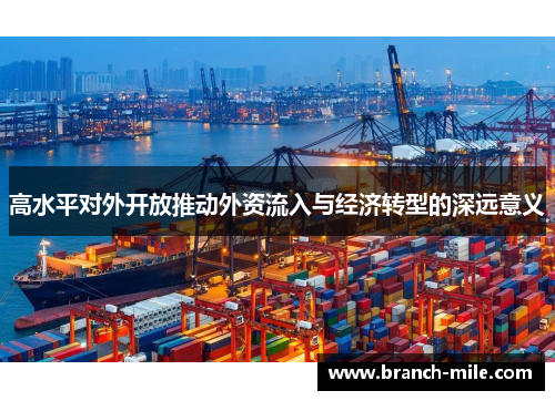 高水平对外开放推动外资流入与经济转型的深远意义 高水平对外开放推动外资流入与经济转型的深远意义