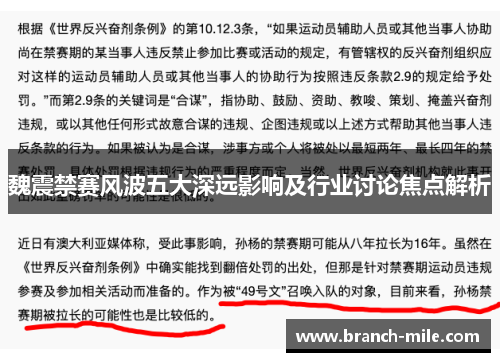 魏震禁赛风波五大深远影响及行业讨论焦点解析